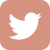 Logo Twitter