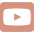 Logo Youtube